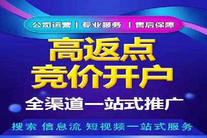 案例解析：SEM助力电商行业快速发展